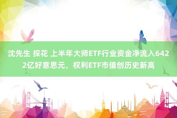 沈先生 探花 上半年大师ETF行业资金净流入6422亿好意思元，权利ETF市值创历史新高