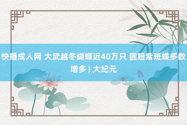 快播成人网 大武越冬蝴蝶近40万只 圆翅紫斑蝶多数增多 | 大纪元