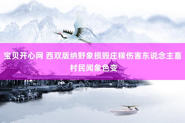 宝贝开心网 西双版纳野象损毁庄稼伤害东说念主畜 村民闻象色变